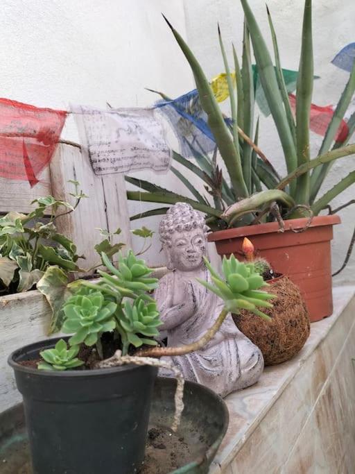 卡利亚里Casa Marta公寓 外观 照片